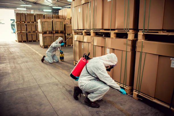 Best Wildlife Control Services  in Simi Valley, CA