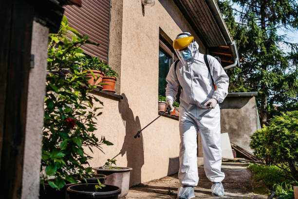 Best Flea Control Services  in Simi Valley, CA