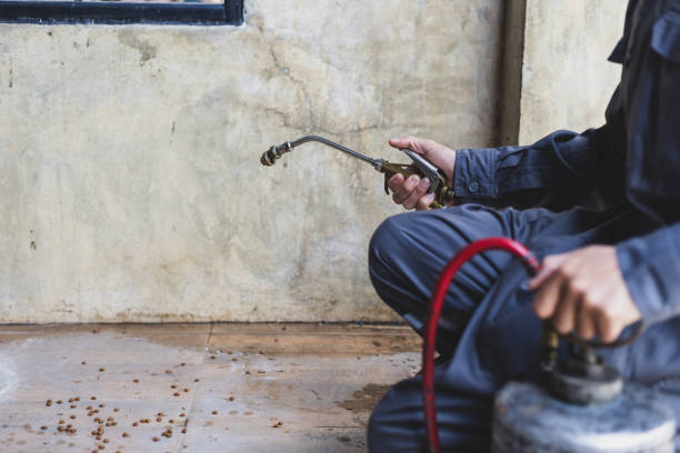Best Affordable Pest Control Services  in Simi Valley, CA